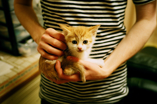 职业篮球裁判员培训课程改革,篮球裁判员培训班