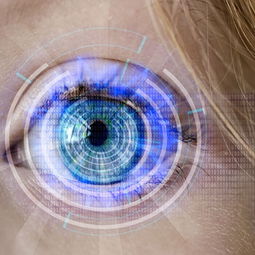 开云网页版-训练负荷科学监测，训练负荷诊断