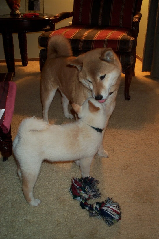 开云官方网站-中国三人篮球男队奋力拼搏赛场表现抢眼，中国三人篮球男队战绩