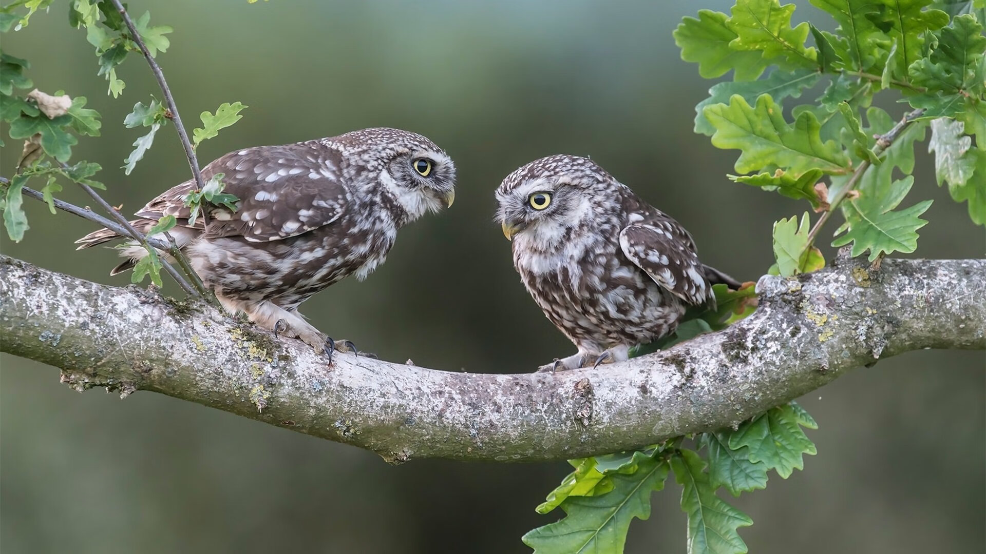 开云平台-赛场应变能力增强，战术执行更坚决，赛场发挥
